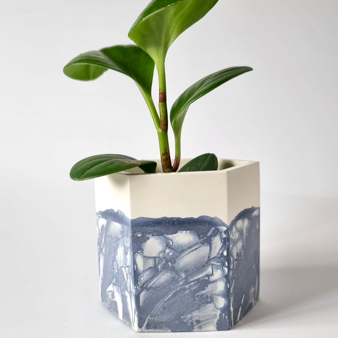 Blue Planter