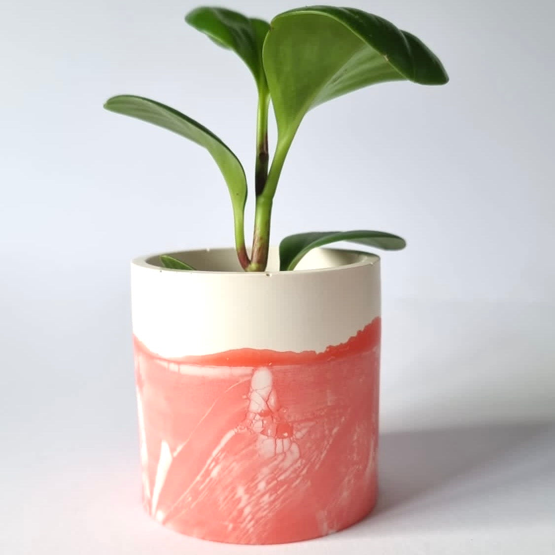 Pink Planter