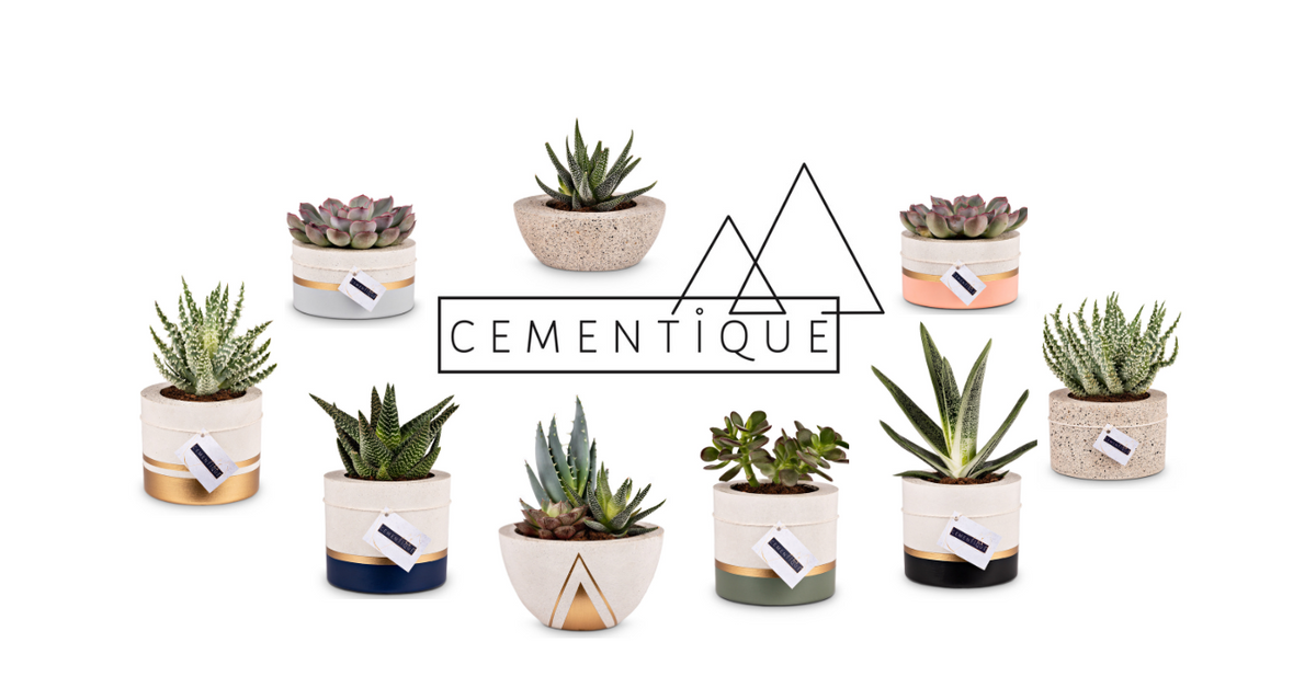 Cementique Our story – Cementique