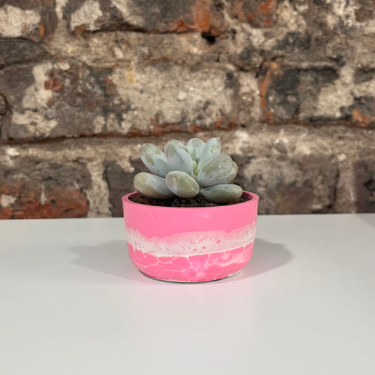 Mini Pink Planter