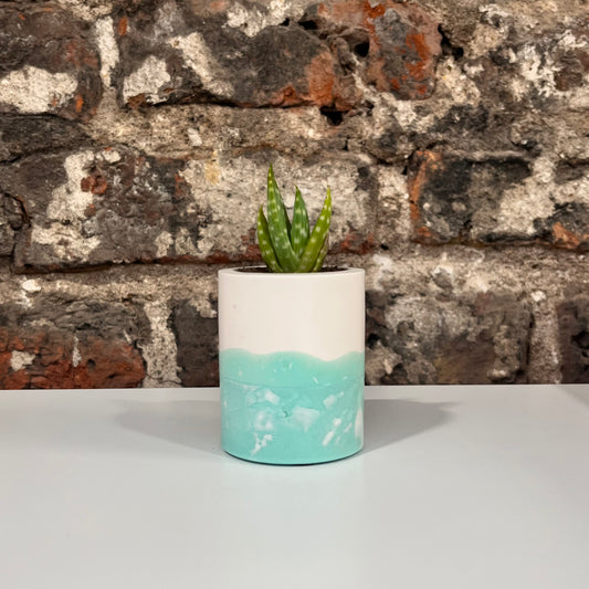 Mini Green Planter