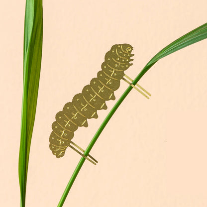 Caterpillar Plant Animal