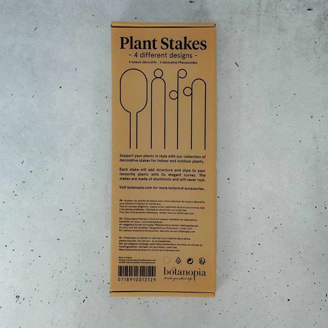 Stake Casino