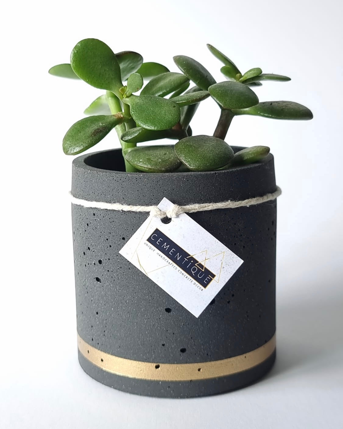 Black and Gold Planter