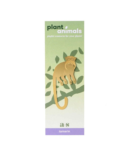 Tamarin Plant Animal