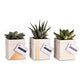 Set of 3 mini square pots
